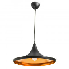 Подвесной светильник ARTE Lamp A3406SP-1BK