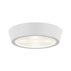 Накладной светильник Lightstar 214704
