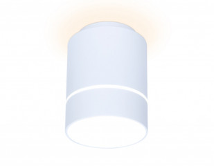 Накладной светильник Ambrella Light TN256