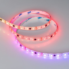 Лента Arlight 039604
