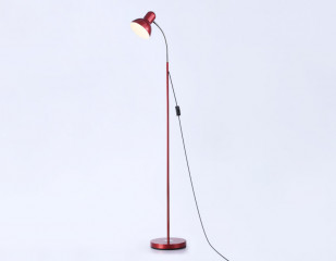 Торшер Ambrella Light TR97666