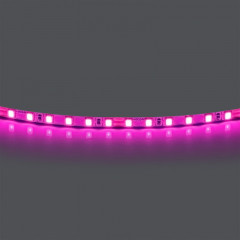 Лента Lightstar 420512