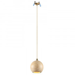 Подвесной светильник Odeon Light 7061/1