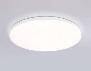 Накладной светильник Ambrella Light FZ2001