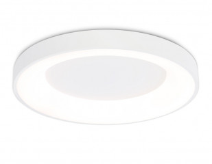Накладной светильник Ambrella Light FZ1401
