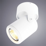Накладной светильник ARTE Lamp A3316PL-1WH