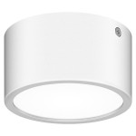 Уличный светильник Lightstar 380164