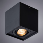 Накладной светильник ARTE Lamp A5544PL-1BK