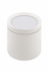 Точечный накладной светильник Denkirs DK4016-WH
