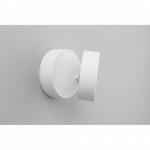 Накладной светильник Omnilux OML-101309-18