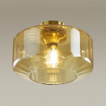 Накладной светильник Odeon Light 4747/1C