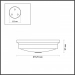 Накладной светильник Odeon Light 4824/3C