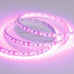 Лента Arlight 015897(2)