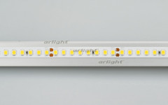 Лента Arlight 024553(2)