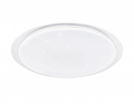 Накладной светильник Ambrella Light FF480