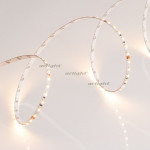 Лента Arlight 024506(2)