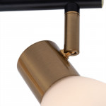 Спот ARTE Lamp A3117PL-2BK