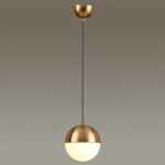 Подвесной светильник Odeon Light 4960/1