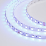Лента Arlight 024586(2)