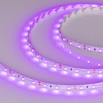Лента Arlight 013571(2)