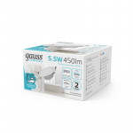 Влагозащищенный светильник Gauss 999420205