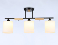 Накладной светильник Ambrella Light TR9551