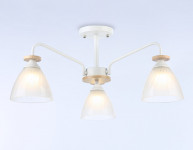 Накладной светильник Ambrella Light TR9562