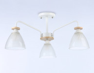 Накладной светильник Ambrella Light TR9562