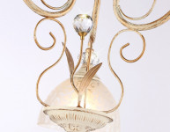 Накладной светильник Ambrella Light TR3055