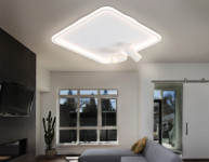 Накладной светильник Ambrella Light FL5114