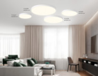 Накладной светильник Ambrella Light FV5539