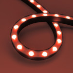Лента Arlight 045257