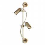 Спот Odeon Light 7013/2W
