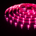 Лента Elektrostandard 5050/30 LED 7.2W IP20 [белая подложка] мультиколор