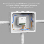 Wi-Fi реле Denkirs RL1001-SM
