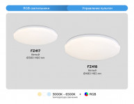 Накладной светильник Ambrella Light FZ417