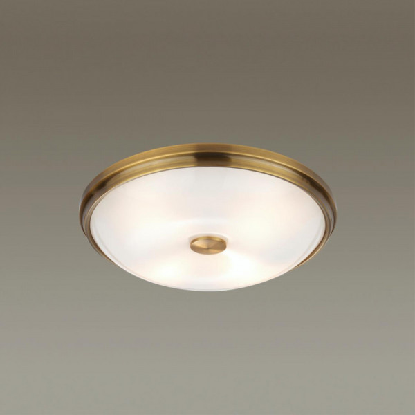 Накладной светильник Odeon Light 4956/4