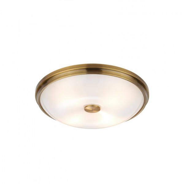 Накладной светильник Odeon Light 4956/4
