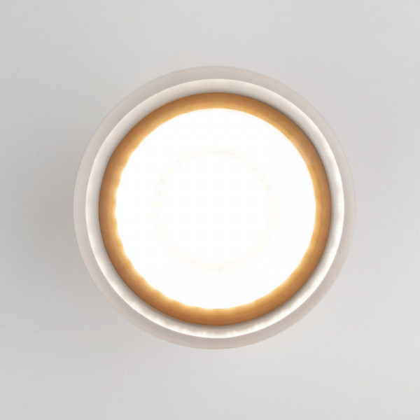 Накладной уличный светильник Elektrostandard Light LED 2107 (35140/H) белый