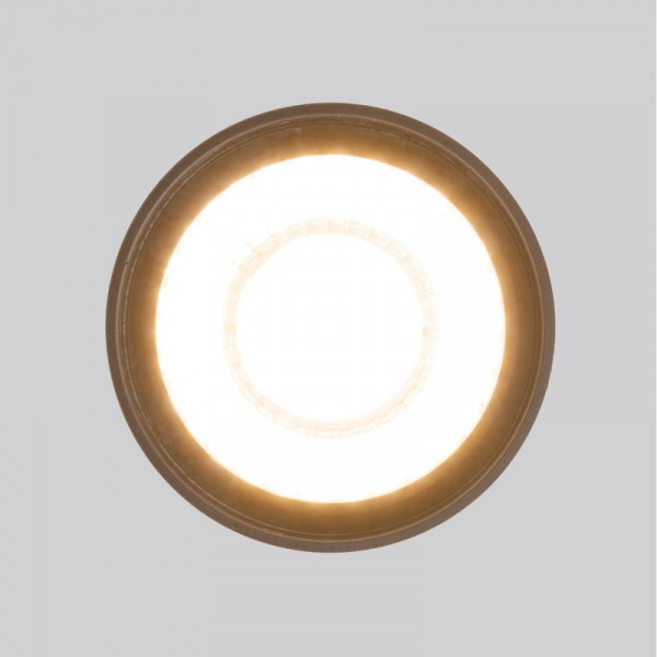 Накладной уличный светильник Elektrostandard Light LED 2105 (35132/H) черный