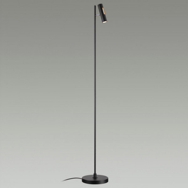 Торшер Odeon Light 6643/5FL