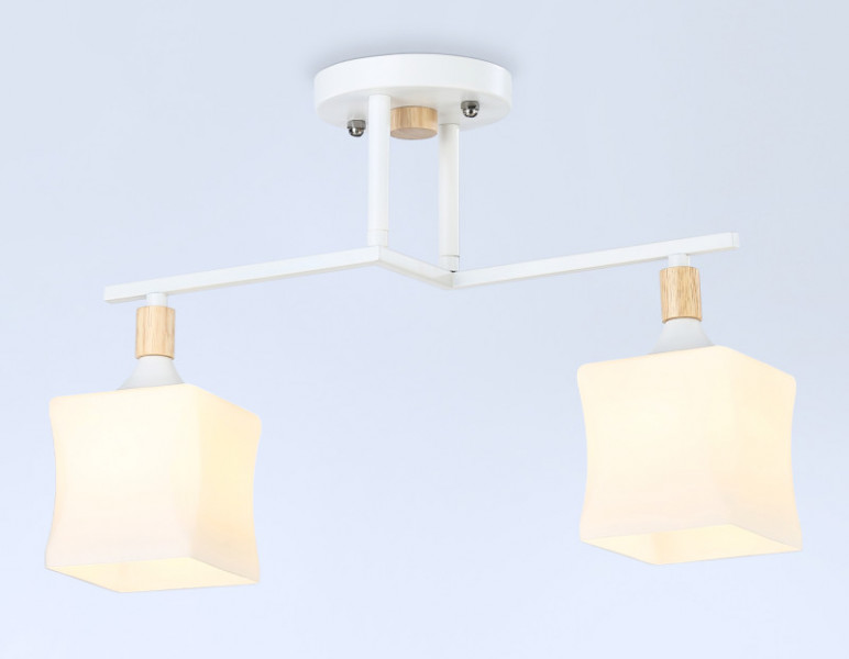 Накладной светильник Ambrella Light TR9484