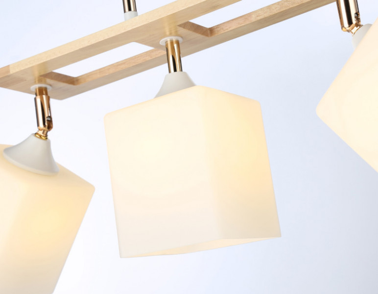 Накладной светильник Ambrella Light TR9505