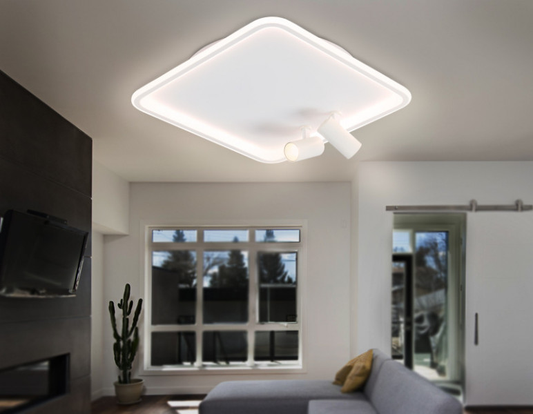 Накладной светильник Ambrella Light FL5114