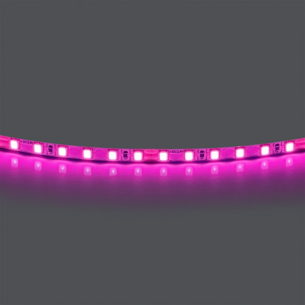 Лента Lightstar 420512