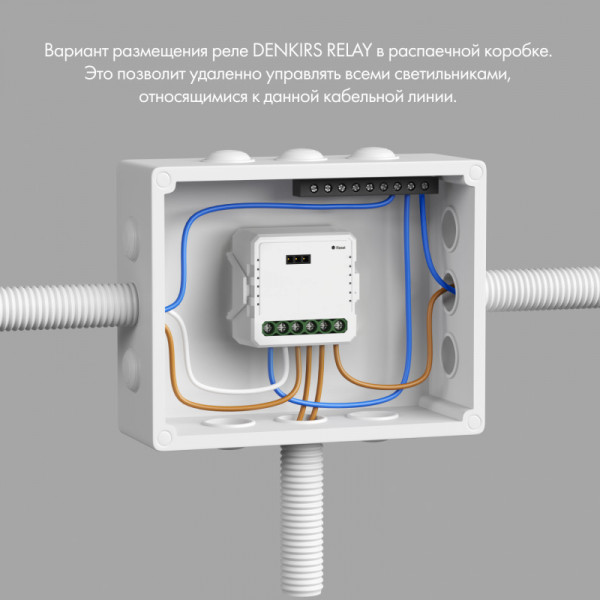 Wi-Fi реле Denkirs RL1003-DM