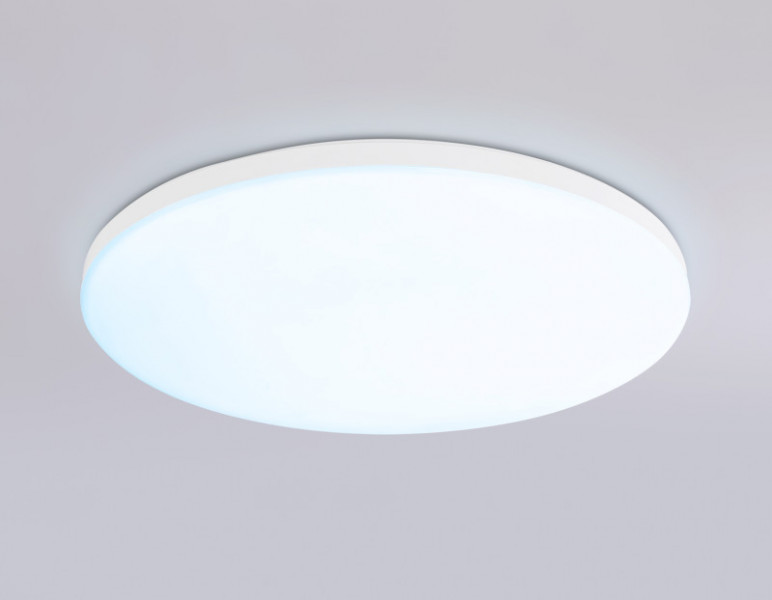 Накладной светильник Ambrella Light FZ2001